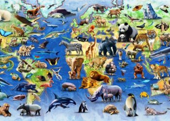 الجغرافيا الحيوانية