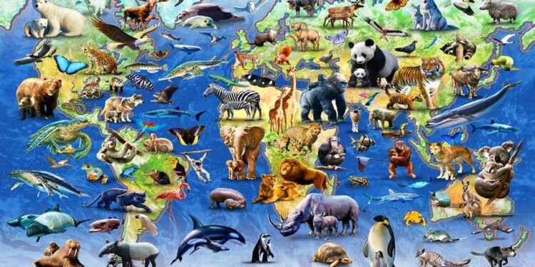 الجغرافيا الحيوانية