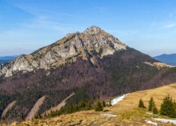 أعلى قمة في الجزائر