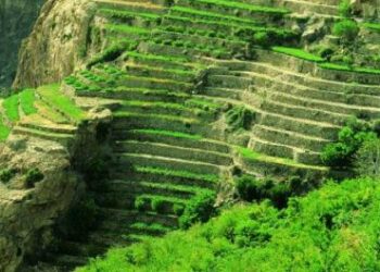 أين يقع الجبل الأخضر