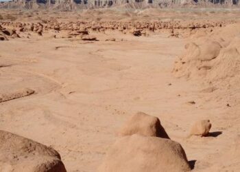 التضاريس في الوطن العربي