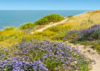 العوامل المؤثرة في مناخ فلسطين