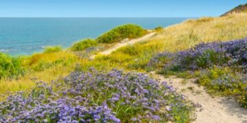 العوامل المؤثرة في مناخ فلسطين