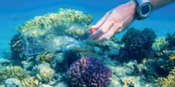 المحافظة على البيئة البحرية