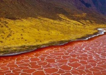 بحيرة النطرون