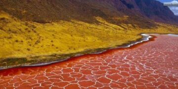 بحيرة النطرون