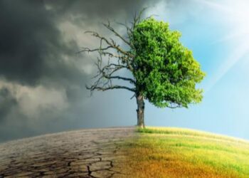 تأثير تغير المناخ على البيئة