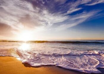 عدد البحار والمحيطات في العالم