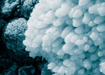 فوائد ملح البحر