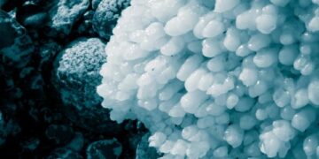 فوائد ملح البحر