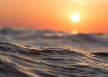 كم بحر في العالم