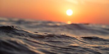 كم بحر في العالم