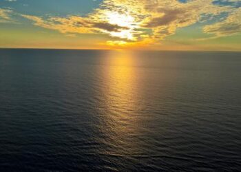 كيفية المحافظة على المحيط