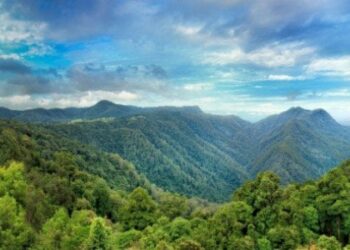 ما هو المناخ المداري المطير؟