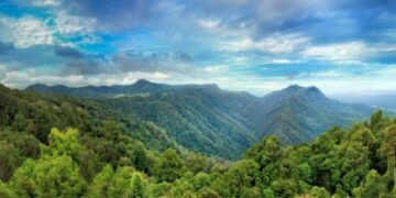 ما هو المناخ المداري المطير؟